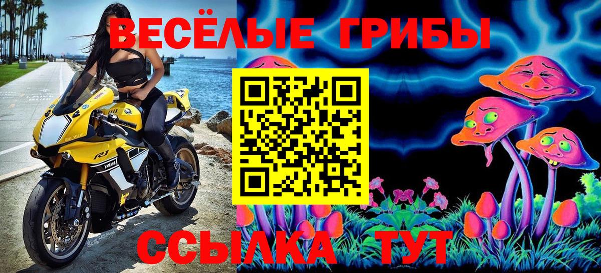 Псилоцибиновые грибы Magic Shrooms  Вход с VPN  что такое   Приморско-Ахтарск 